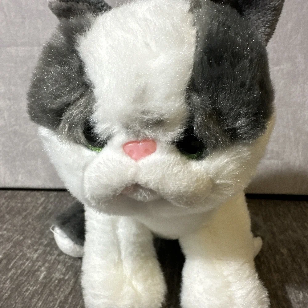 TY Beanie Babies Yang Plush Cat Gray‎ White Velve TY Kitten 6